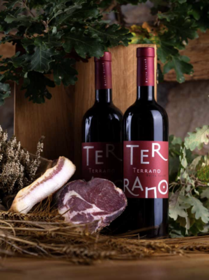 Screenshot 2025-11-12 alle 10.51.38